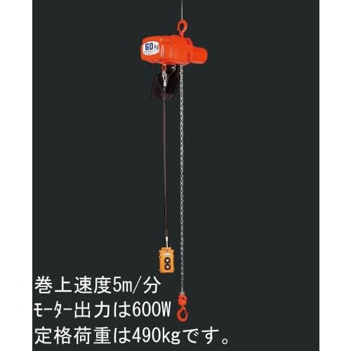 電動チェーンブロックAC100V/490kgx5m