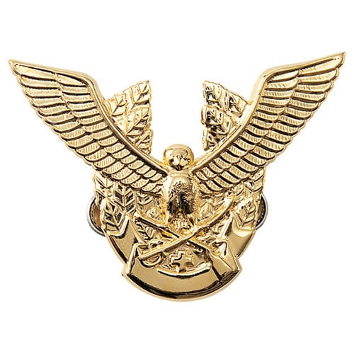 帽章(鳥と剣)金 金 F
