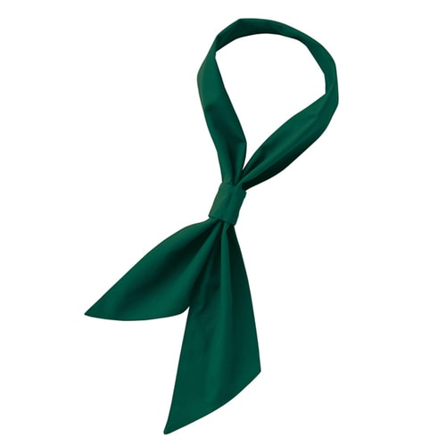 ループタイ ダークグリーン F