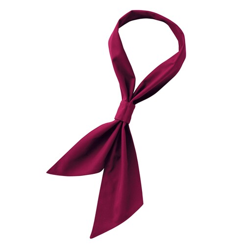 ループタイ ワイン F