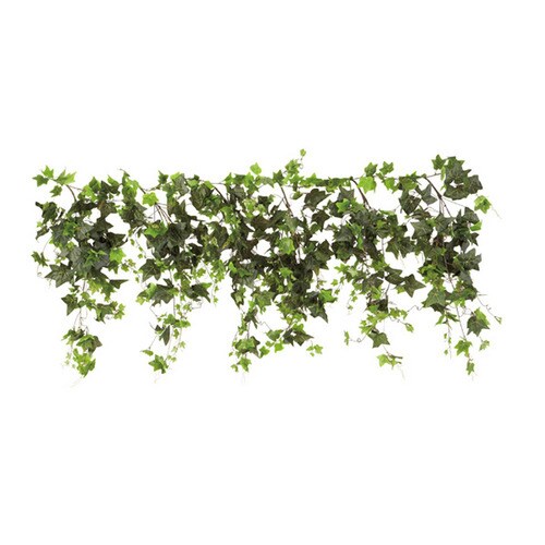 グリーンシダレガーランド イングリッシュアイビー