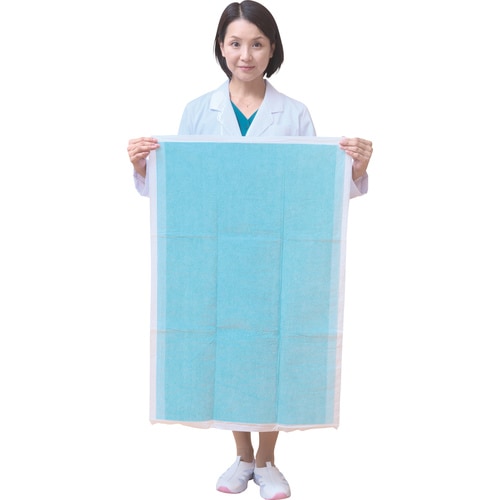 サンワ 嘔吐物吸水シート 2枚入