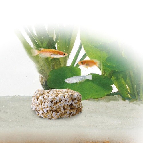 ベストバイオブロック メダカ用