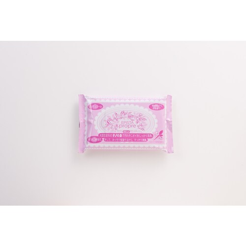 エピスタ プロプル ハンディタイプ 10枚入り