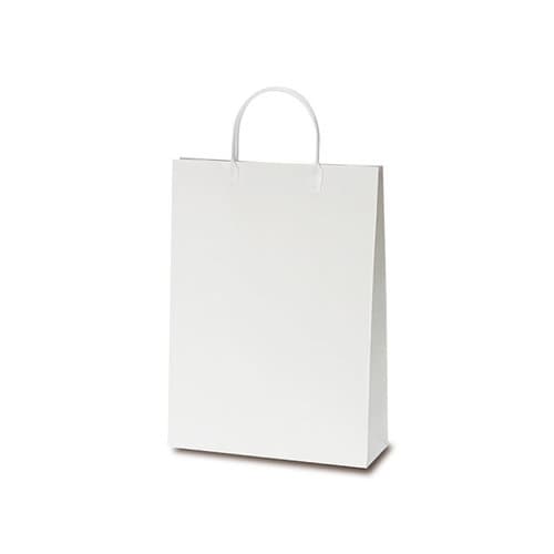 1084 A4ファイルバッグ 50枚入