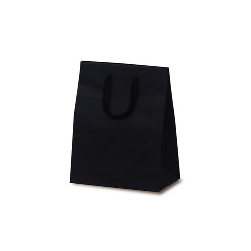 1037 手提袋 T−2 ブラック 100枚入