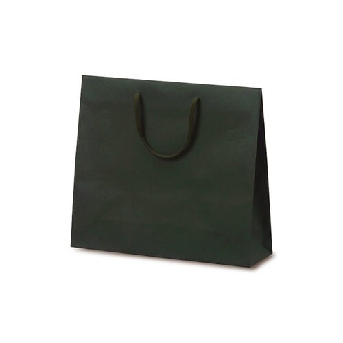 1030 手提袋 T−6 グリーン 100枚入