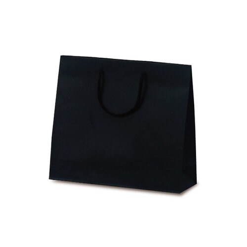 1038 手提袋 T−6 ブラック 100枚入