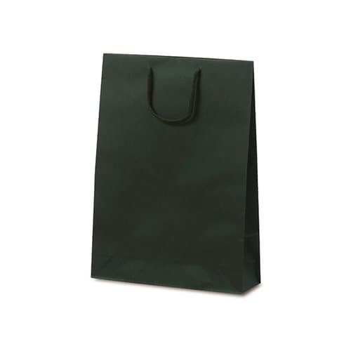 1034 手提袋 T−8 グリーン 100枚入