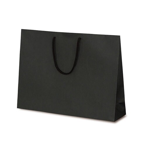 1043 手提袋 T−Y ブラック 100枚入