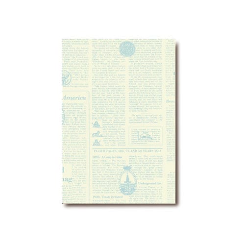 2970 小袋 リブル 6号 アクア 500枚入