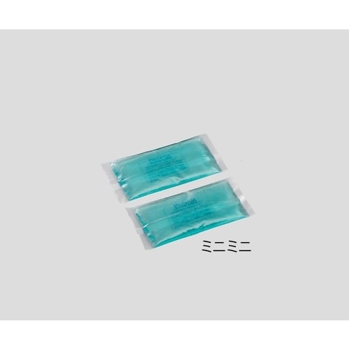 プロシェアやわらか保冷枕ミニミニ 2個