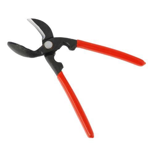 くるみ割り(ぎんなん兼用)