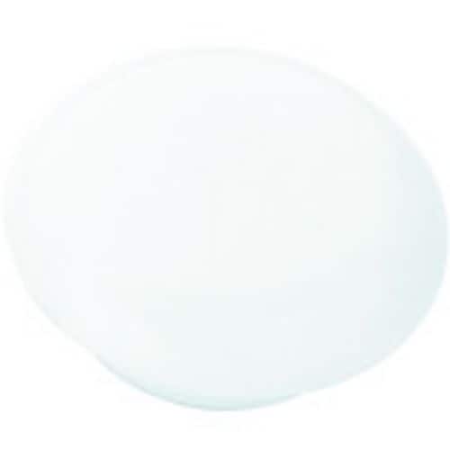 カラーマグネット(5個入)白30パイ