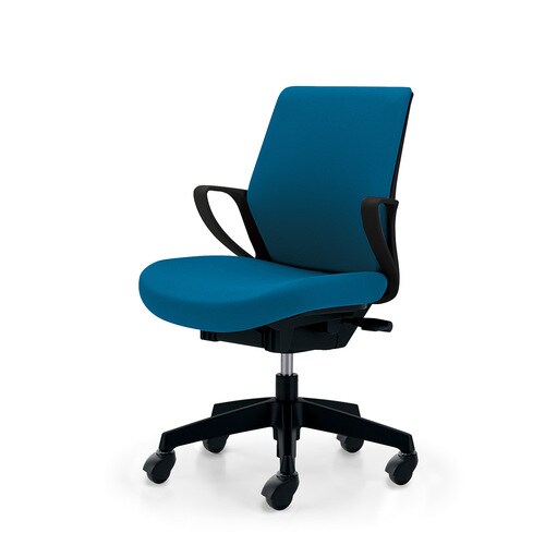 ピコラブラックシェルローバック布T4ゴム単輪C