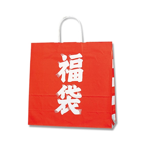 福袋 手提げ マチ付 3才 50枚