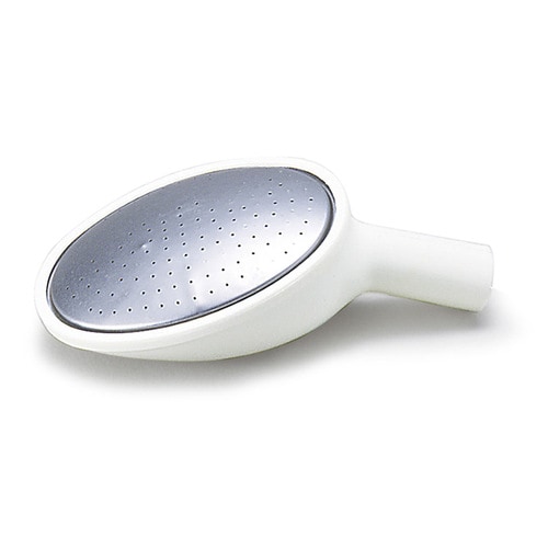 じょうろハスの実 大