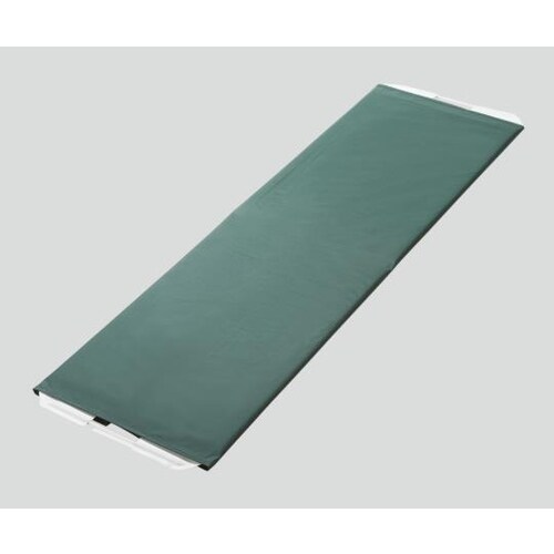 ムーブボード 本体(カバー付き)