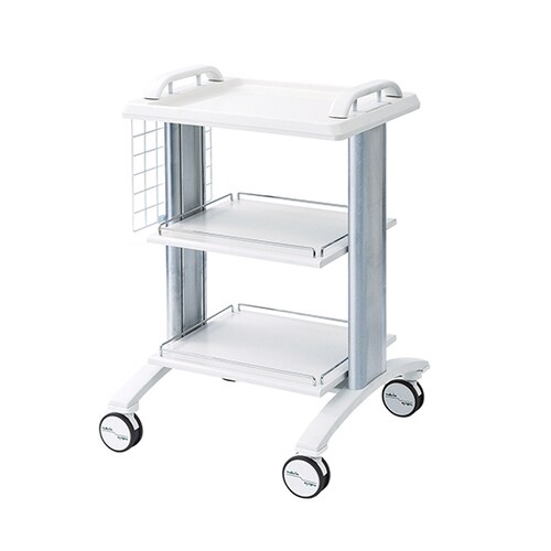 カレンカートII(回診)