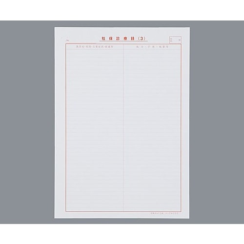社保カルテ A4サイズ3号紙 372