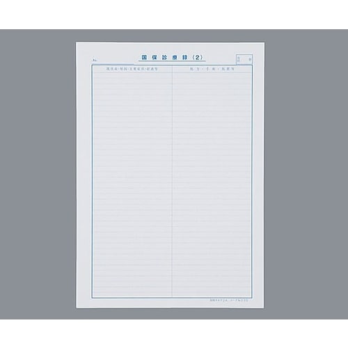 国保カルテ A4サイズ2号紙 374