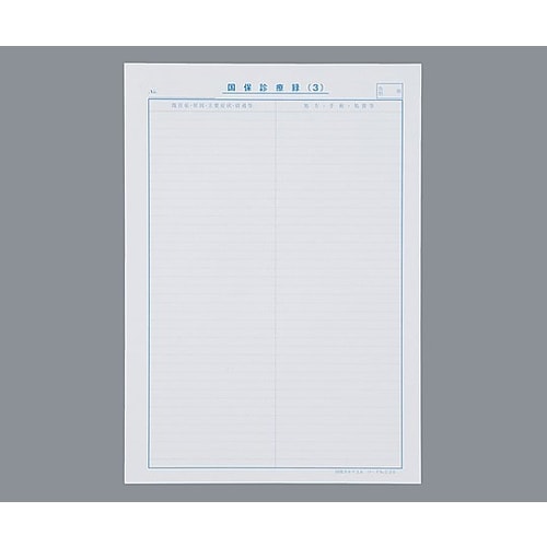 国保カルテ A4サイズ3号紙 375