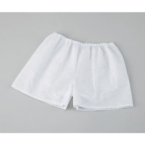 ディスポインナーウエア トランクス L 2枚入