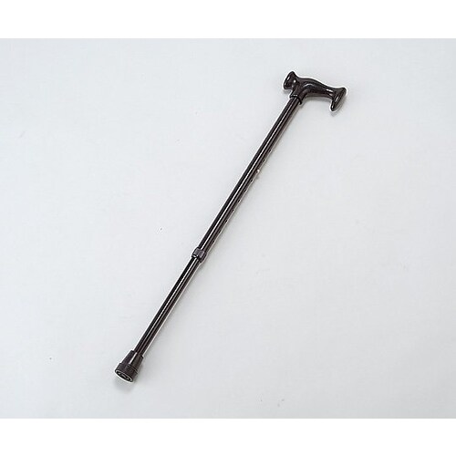 Fグリップステッキ (伸縮式) PW255