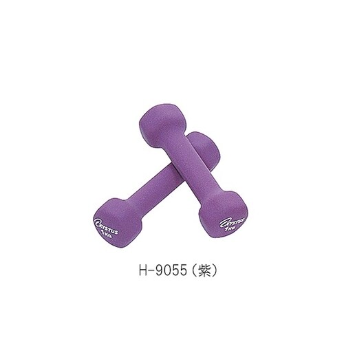 ラバーコートダンベル 1kg×2