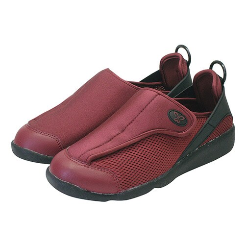 すたこらさんソフト100 ワイン 24.0