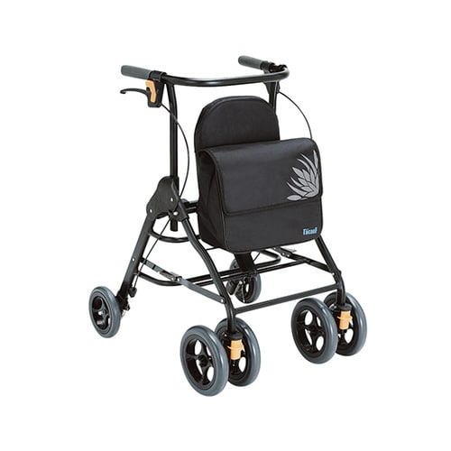 テイコブリトル ブラック