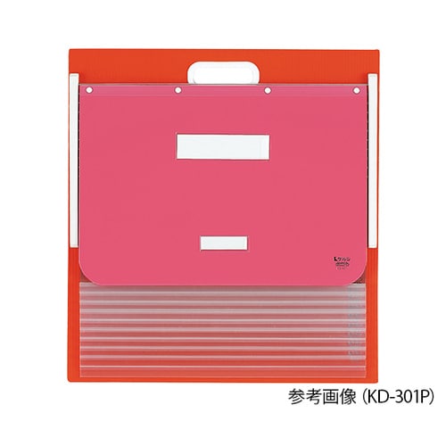 カーデックス(ソフトタイプ・PP製ポケッ