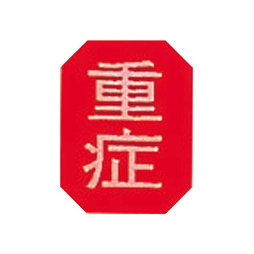 マグネットマーク (文字付) タテ 重症 6枚入