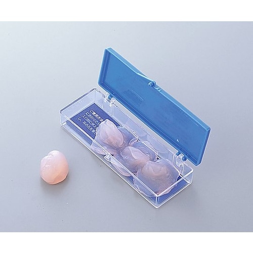 シリコーン製防音防水耳栓 IP1000 4個入