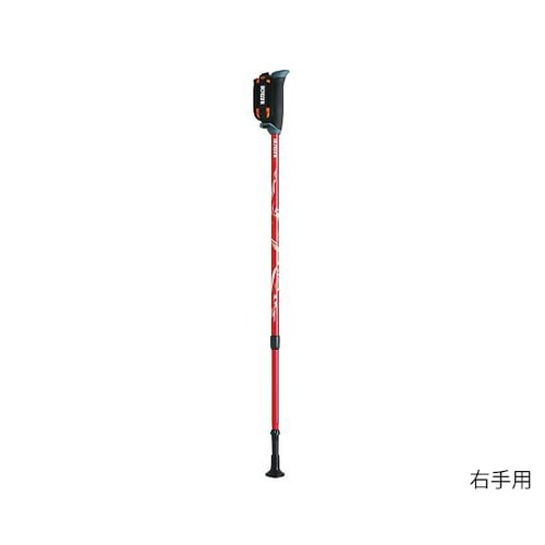 DFPプログレッシブズーム レッド