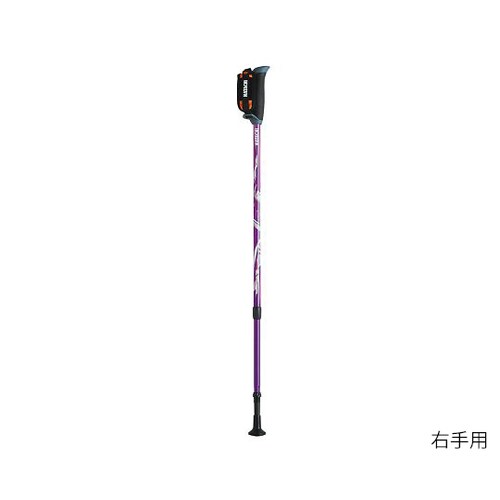 DFPプログレッシブズーム パープル