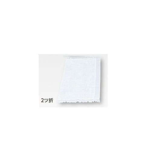 ガーゼ 2ツ折 300×300mm