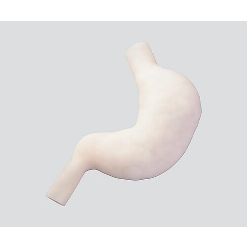 訓練用モデル(ナビトレ) 胃縫合モデル 立体