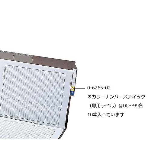 カラーナンバースティック(専用ラベル)