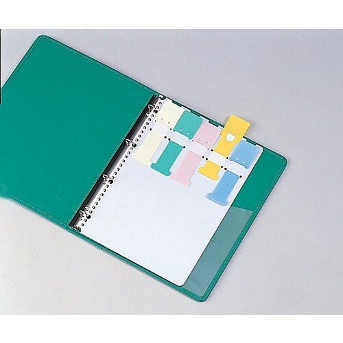 カラーシグナル A4、2・4・30穴 10枚入