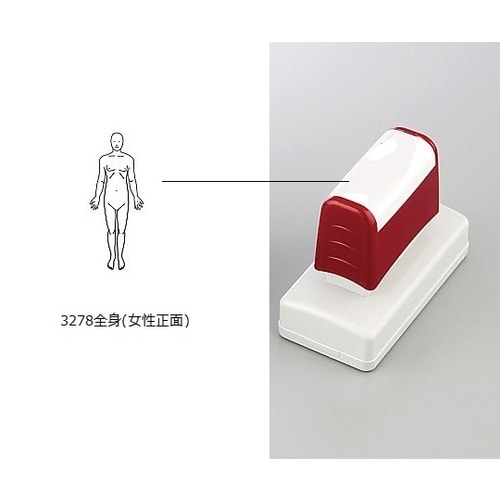 医療用スタンプ 全身女性正面