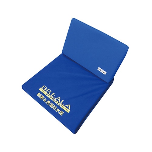 ブレイラハイブリッドケアシート2WAY