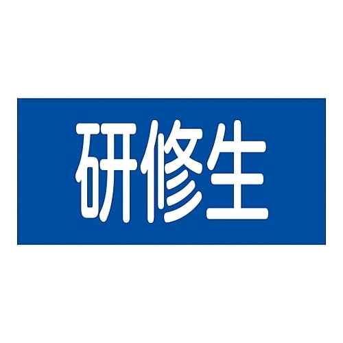 ゴム腕章 「研修生」 GW−13S