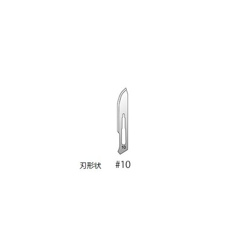 ディスポメス #10