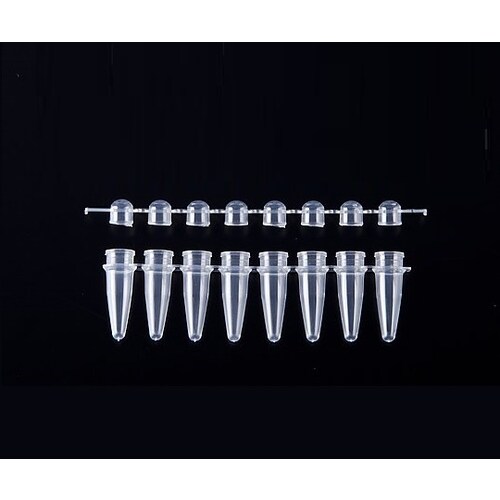 ビオラモPCRチューブ 0.2mL 8連ドーム