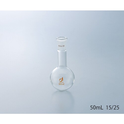 共通摺合丸底フラスコ 300mL TS19/38