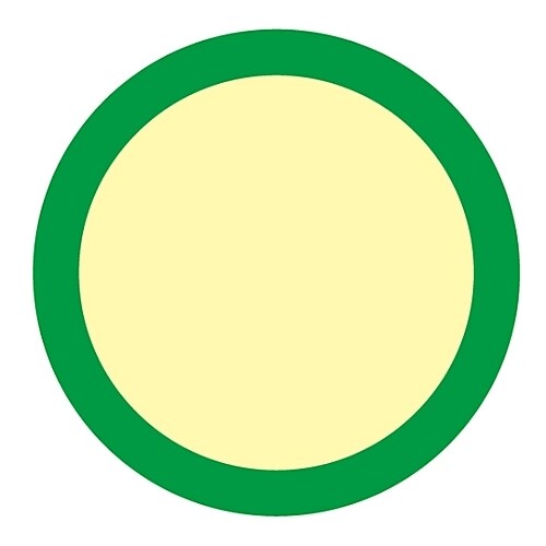 床用標識 (蓄光) 蓄光D