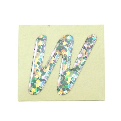 FM20−W ホログラム文字 W