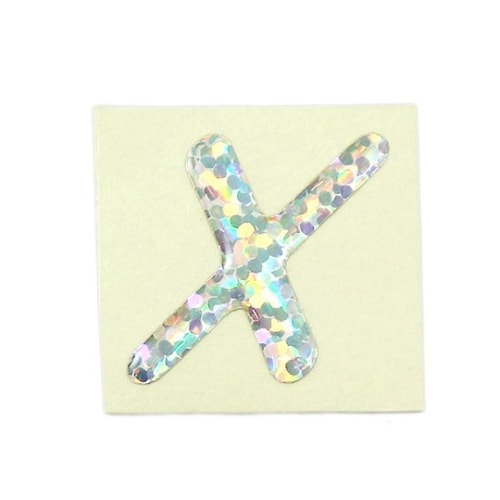 FM20−X ホログラム文字 X