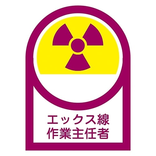 ヘルメット用ステッカー「エックス線作業主任者」